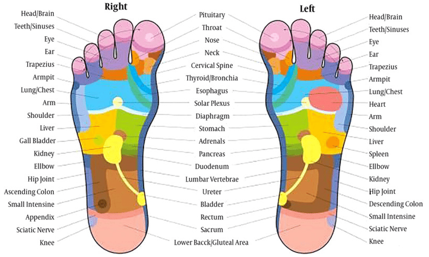 ReflexOwl™ Reflexology Socks