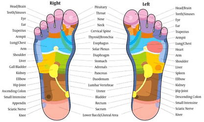 ReflexOwl™ Reflexology Socks